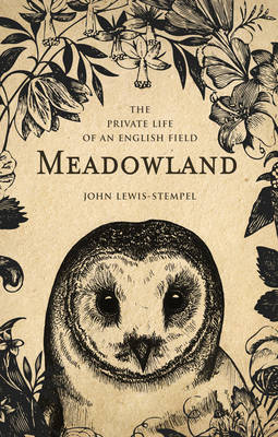 Book cover for Meadowland