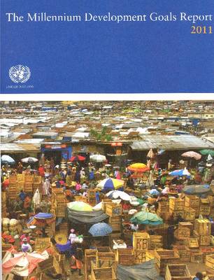 Book cover for The Millennium Development Goals Report