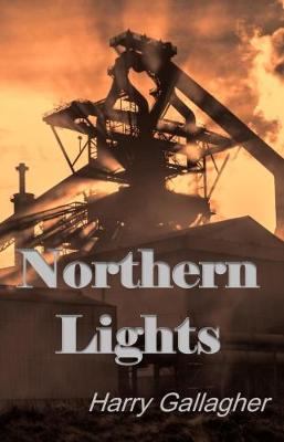 Book cover for Northern Lights