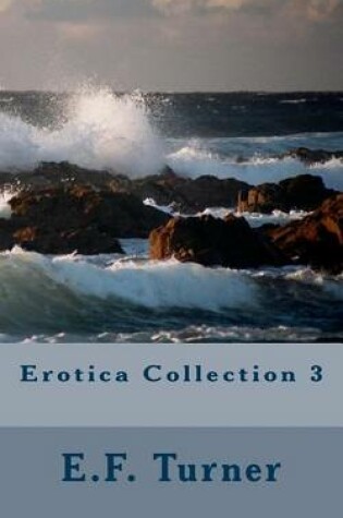 Cover of Erotica Collection 3