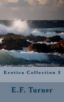 Book cover for Erotica Collection 3