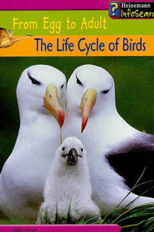 Cover of The Life Cycle of Birds