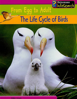 Book cover for The Life Cycle of Birds