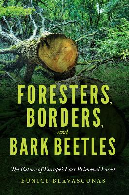 Cover of Foresters, Borders, and Bark Beetles