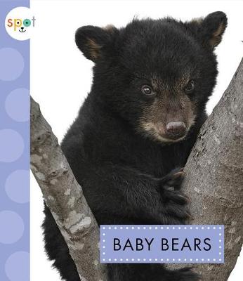 Cover of Baby Bears