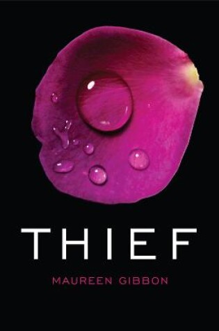 Cover of Thief