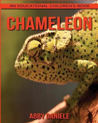 Book cover for Chameleon! An Educational Children's Book about Chameleon with Fun Facts & Photos