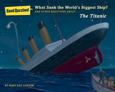 Book cover for What Sank the World's Biggest Ship?