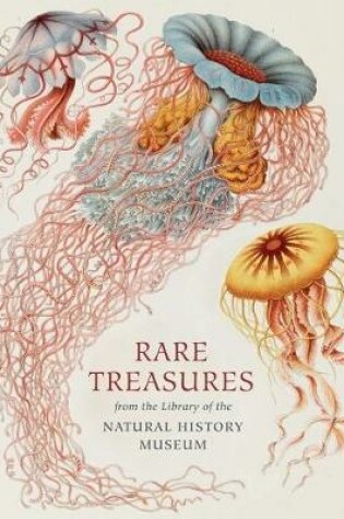 Cover of Rare Treasures