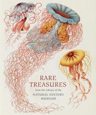 Book cover for Rare Treasures