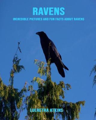 Book cover for Ravens