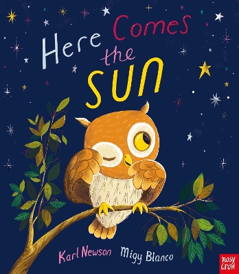 Book cover for Here Comes The Sun