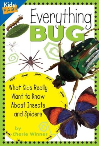 Book cover for Everything Bug