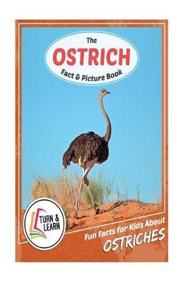 Book cover for The Ostrich Fact and Picture Book