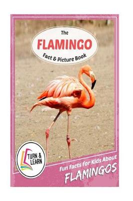 Book cover for The Flamingo Fact and Picture Book