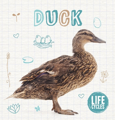 Book cover for Duck