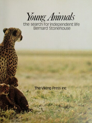 Book cover for Young Animals