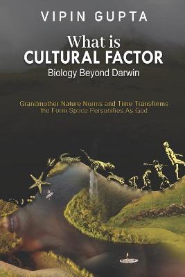 Book cover for What Is Cultural Factor