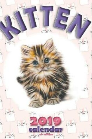 Cover of Kitten 2019 Calendar (UK Edition)