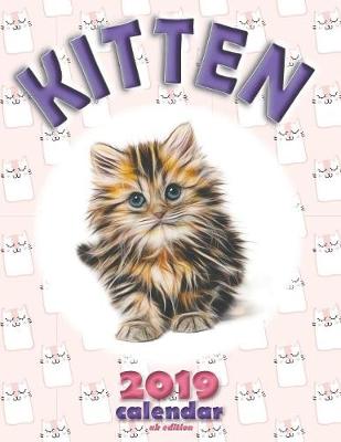Book cover for Kitten 2019 Calendar (UK Edition)