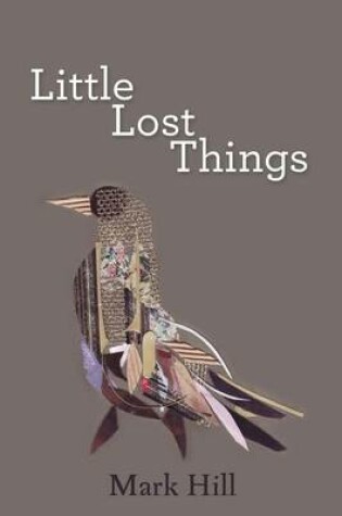 Cover of Little Lost Things