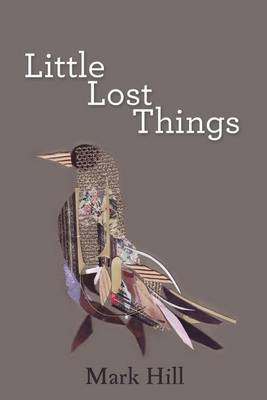 Book cover for Little Lost Things