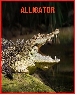 Book cover for Alligator