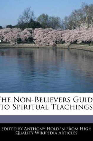 Cover of The Non-Believers Guide to Spiritual Teachings
