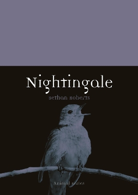 Book cover for Nightingale