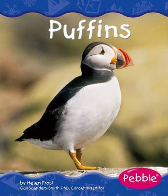 Book cover for Puffins