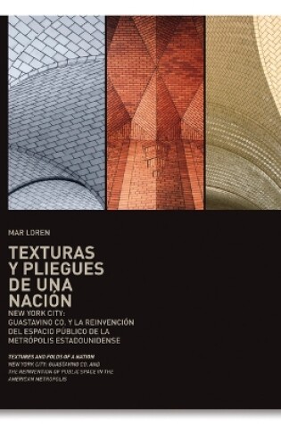 Cover of Texturas y Pliegues de una Nacion