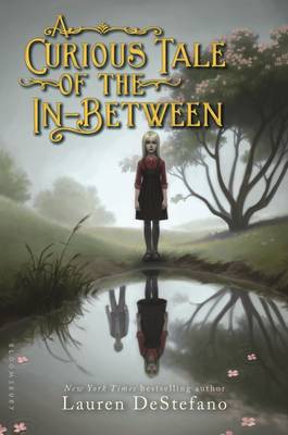 Book cover for A Curious Tale of the In-Between
