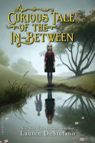 Cover of A Curious Tale of the In-Between