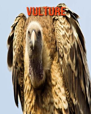 Book cover for Vulture