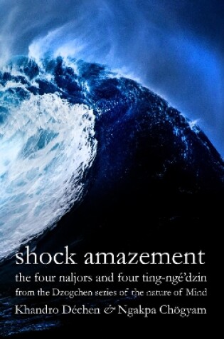 Cover of Shock Amazement