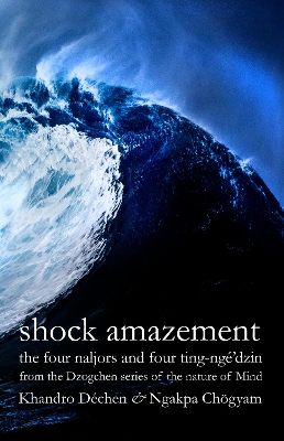 Book cover for Shock Amazement