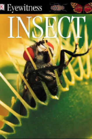 Cover of Eyewitness Guide:  Insect