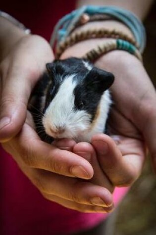 Cover of Holding a Tiny Cute Guinea Pig Journal