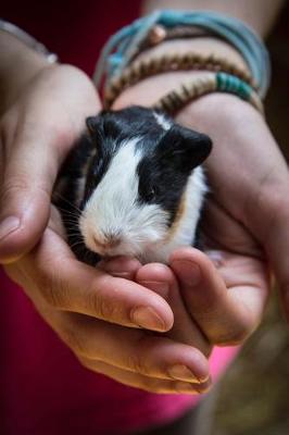 Book cover for Holding a Tiny Cute Guinea Pig Journal