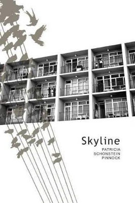 Book cover for Skyline