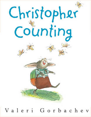 Book cover for Christopher Counting