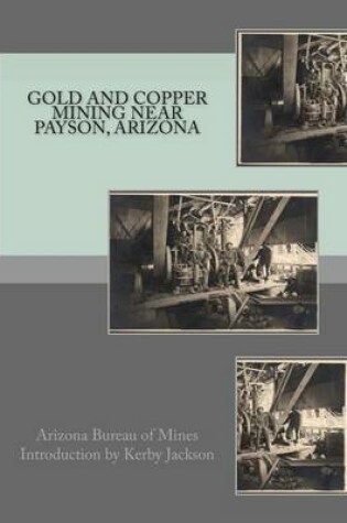 Cover of Gold and Copper Mining near Payson, Arizona