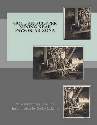 Book cover for Gold and Copper Mining near Payson, Arizona