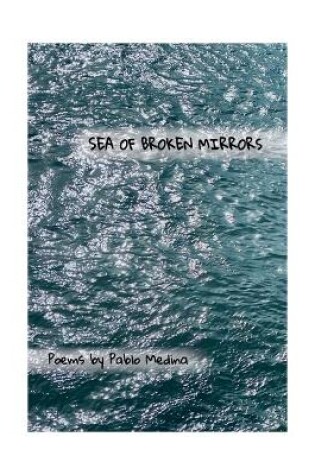 Cover of Sea of Broken Mirrors