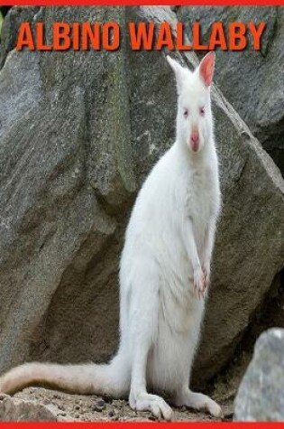 Cover of Albino Wallaby