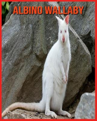 Book cover for Albino Wallaby