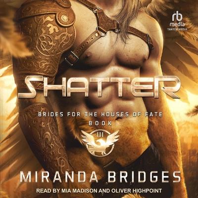 Book cover for Shatter