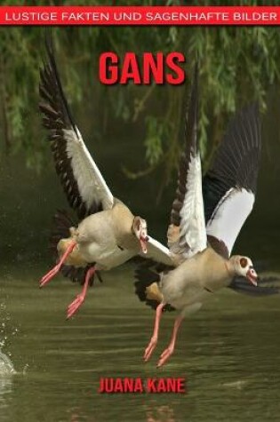 Cover of Gans