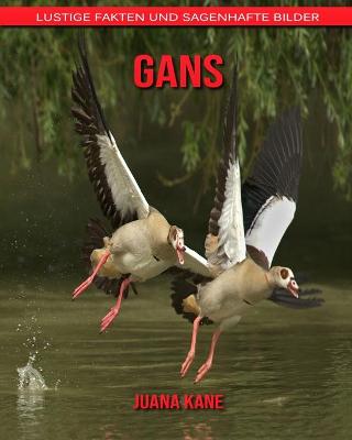 Book cover for Gans