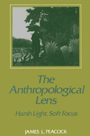 Cover of The Anthropological Lens